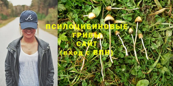 меф Арсеньев